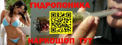 гидропоника Ижевск