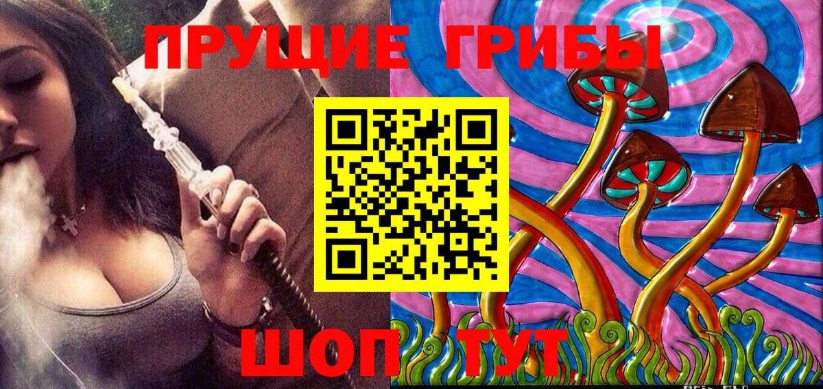 Псилоцибиновые грибы Cubensis  наркотики  Димитровград  Вход с VPN 
